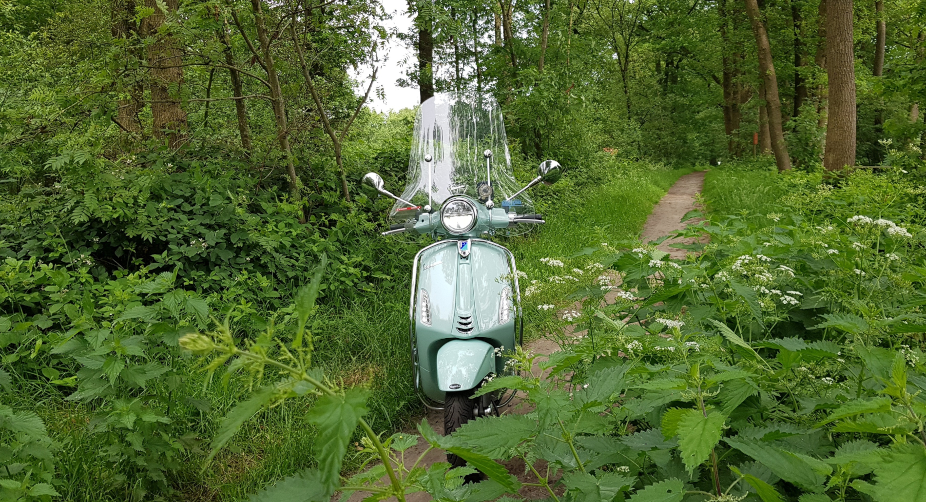 Veluwe Vespa Zomer Hoogtepunt